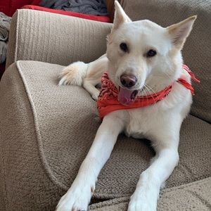 Meet your Posher, Jessejane